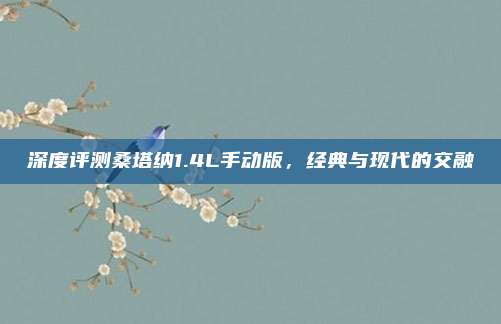 深度评测桑塔纳1.4L手动版，经典与现代的交融