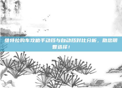 维特拉购车攻略手动挡与自动挡对比分析,助您明智选择!