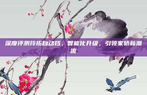 深度评测玲拓自动挡,智能化升级,引领家轿新潮流