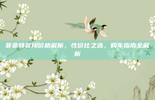 菲亚特菲翔价格解析,性价比之选,购车指南全解析