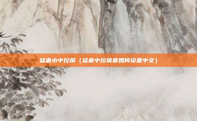 猛禽小中控屏（猛禽中控屏幕如何设置中文）