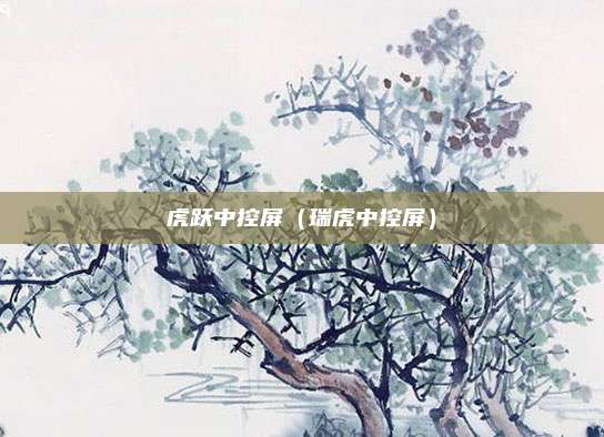 虎跃中控屏（瑞虎中控屏）