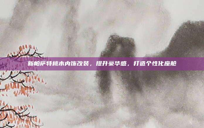 新帕萨特桃木内饰改装,提升豪华感,打造个性化座舱