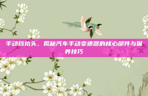 手动挡抬头,揭秘汽车手动变速器的核心部件与保养技巧