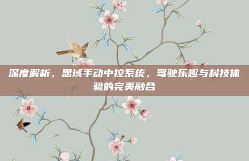 深度解析,思域手动中控系统,驾驶乐趣与科技体验的完美融合