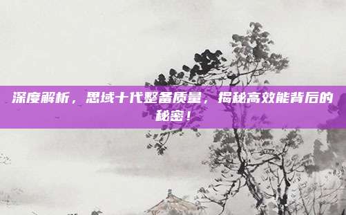 深度解析,思域十代整备质量,揭秘高效能背后的秘密!
