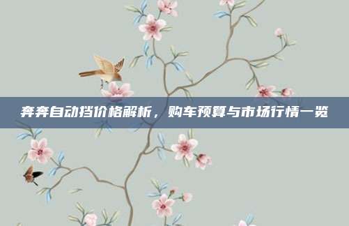 奔奔自动挡价格解析,购车预算与市场行情一览