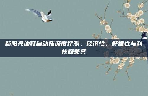 新阳光油耗自动挡深度评测，经济性、舒适性与科技感兼具