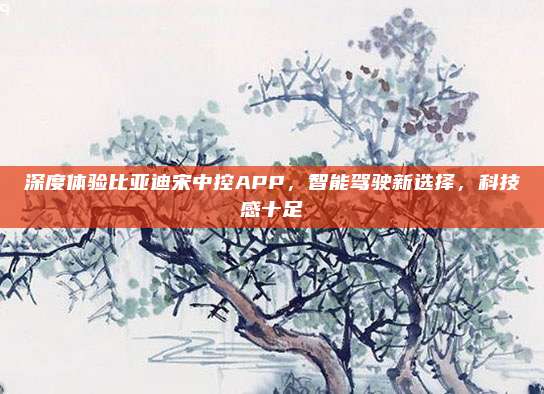 深度体验比亚迪宋中控APP,智能驾驶新选择,科技感十足