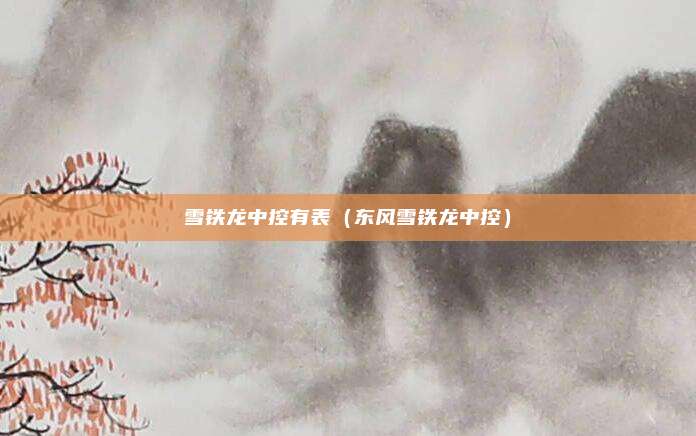 雪铁龙中控有表（东风雪铁龙中控）