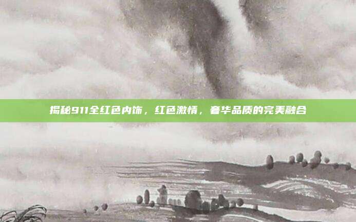 揭秘911全红色内饰，红色激情，奢华品质的完美融合