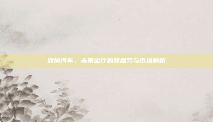 双模汽车，未来出行的新趋势与市场解析