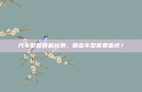汽车整备质量检测,哪些车型需要重视?