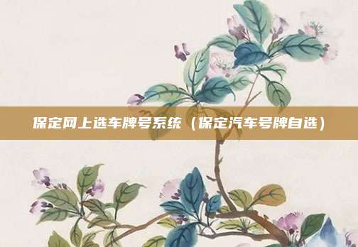 保定网上选车牌号系统（保定汽车号牌自选）