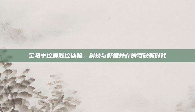 宝马中控屏触控体验，科技与舒适并存的驾驶新时代