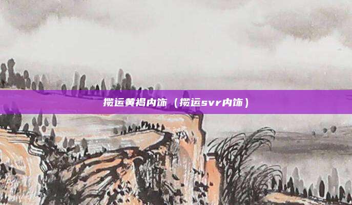 揽运黄褐内饰（揽运svr内饰）