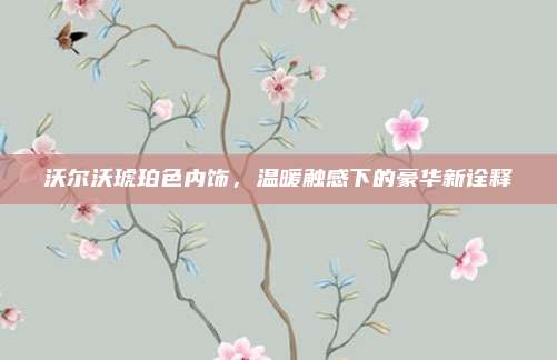 沃尔沃琥珀色内饰,温暖触感下的豪华新诠释
