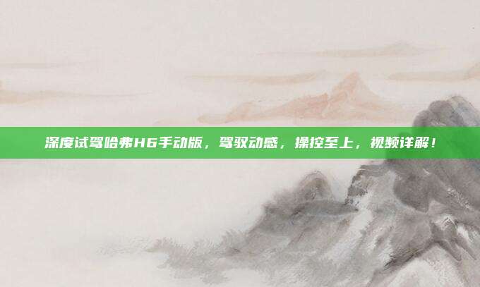深度试驾哈弗H6手动版,驾驭动感,操控至上,视频详解!