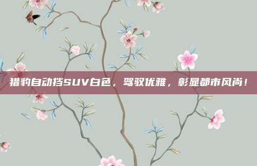 猎豹自动挡SUV白色，驾驭优雅，彰显都市风尚！