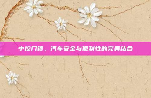 中控门锁,汽车安全与便利性的完美结合