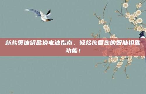 新款奥迪钥匙换电池指南,轻松恢复您的智能钥匙功能!
