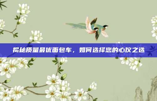 揭秘质量最优面包车,如何选择您的心仪之选