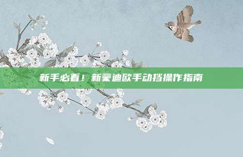 新手必看!新蒙迪欧手动挡操作指南