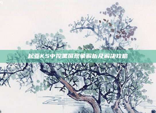 起亚K5中控黑屏现象解析及解决攻略