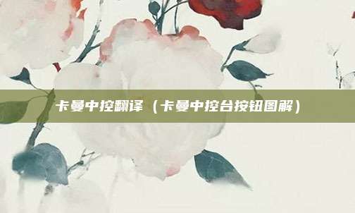 卡曼中控翻译（卡曼中控台按钮图解）