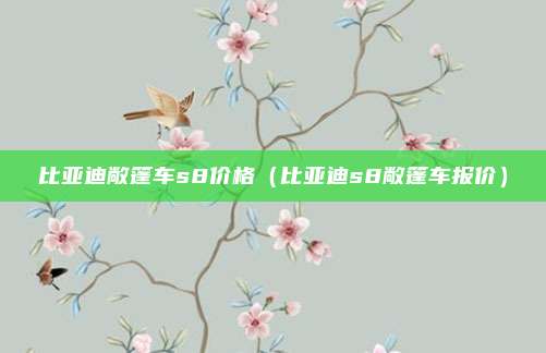 比亚迪敞篷车s8价格（比亚迪s8敞篷车报价）