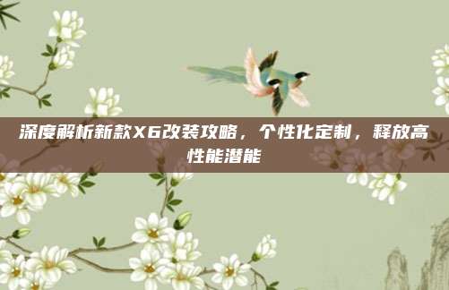 深度解析新款X6改装攻略,个性化定制,释放高性能潜能