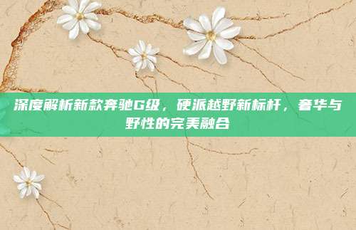 深度解析新款奔驰G级,硬派越野新标杆,奢华与野性的完美融合