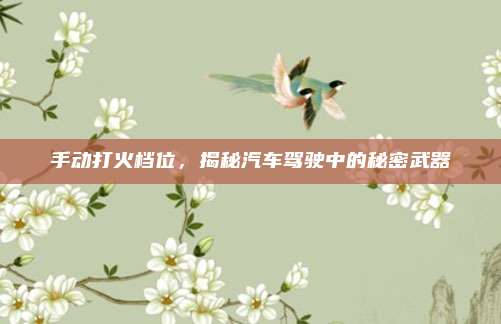 手动打火档位,揭秘汽车驾驶中的秘密武器