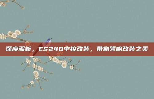 深度解析,ES240中控改装,带你领略改装之美