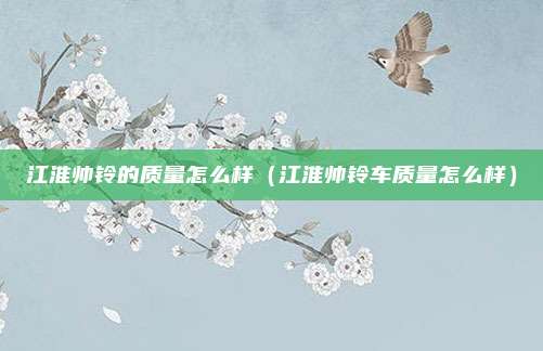 江淮帅铃的质量怎么样（江淮帅铃车质量怎么样）