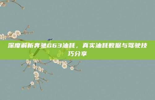 深度解析奔驰G63油耗,真实油耗数据与驾驶技巧分享