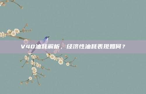 V40油耗解析，经济性油耗表现如何？
