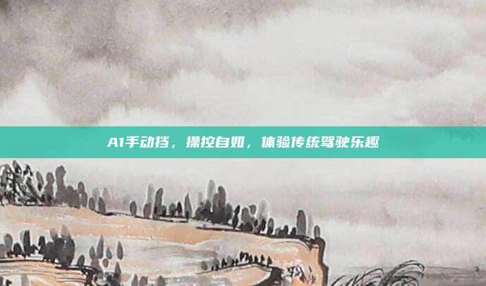 A1手动挡，操控自如，体验传统驾驶乐趣