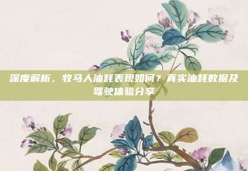 深度解析,牧马人油耗表现如何?真实油耗数据及驾驶体验分享