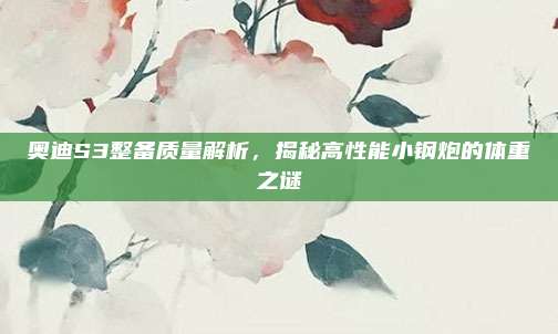 奥迪S3整备质量解析,揭秘高性能小钢炮的体重之谜