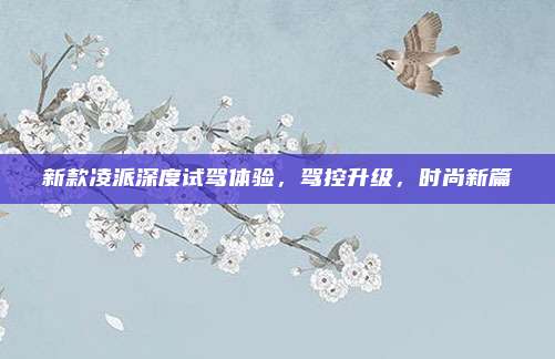 新款凌派深度试驾体验,驾控升级,时尚新篇