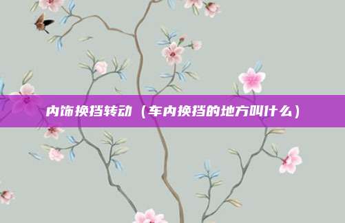 内饰换挡转动（车内换挡的地方叫什么）