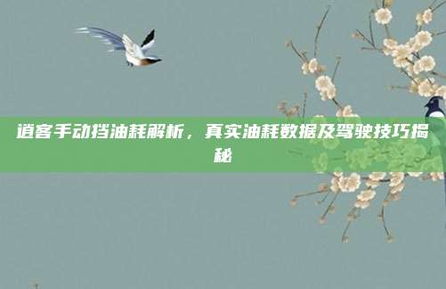 逍客手动挡油耗解析,真实油耗数据及驾驶技巧揭秘