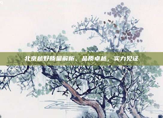 北京越野质量解析,品质卓越,实力见证