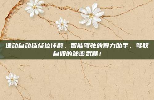 逸动自动挡档位详解,智能驾驶的得力助手,驾驭自如的秘密武器!