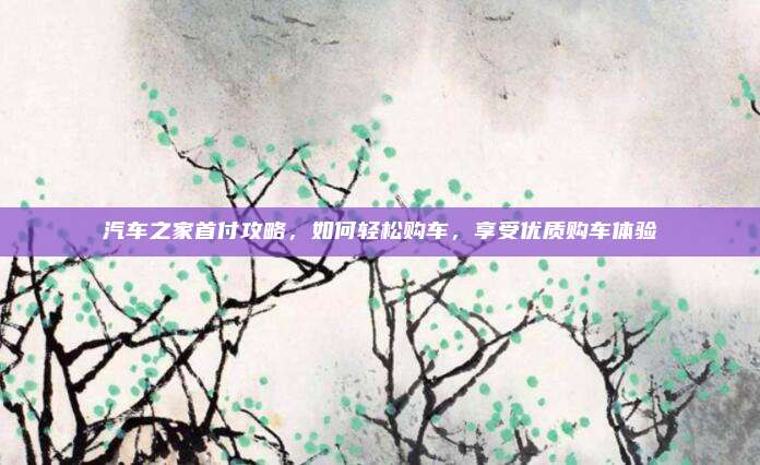 汽车之家首付攻略,如何轻松购车,享受优质购车体验