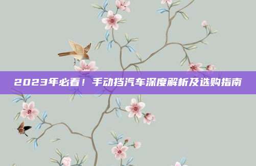 2023年必看!手动挡汽车深度解析及选购指南