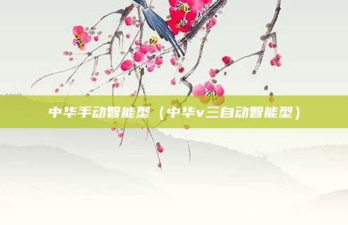 中华手动智能型（中华v三自动智能型）