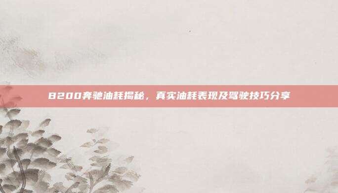 B200奔驰油耗揭秘,真实油耗表现及驾驶技巧分享
