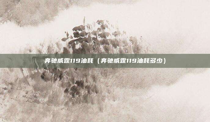 奔驰威霆119油耗（奔驰威霆119油耗多少）